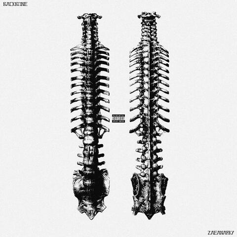 backbone