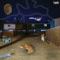 From the Block to the Top