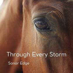 THROUGH EVERY STORM