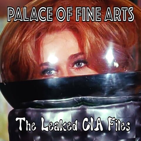 The Leaked CIA Files