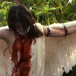Doll Girls and Switchblades