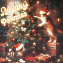 Stray Cats Wish