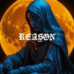 Reason