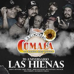 Las Hienas