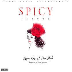 Spicy Issues (feat. Paa Steeli)