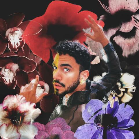 The Magician