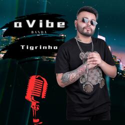 Tigrinho (feat. Biell Loop)