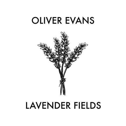 Lavender Fields