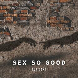 Sex So Good