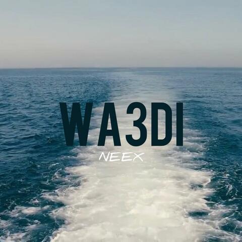 WA3DI