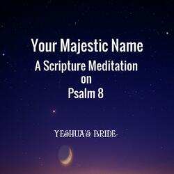 Your Majestic Name: A Scripture Meditation on Psalm 8