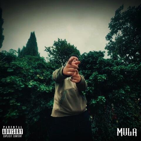 MULA