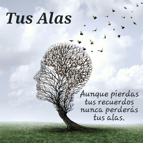 TUS ALAS