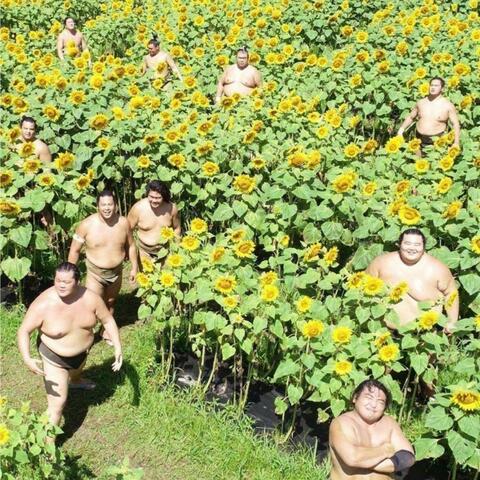 WE LOVE EARTH