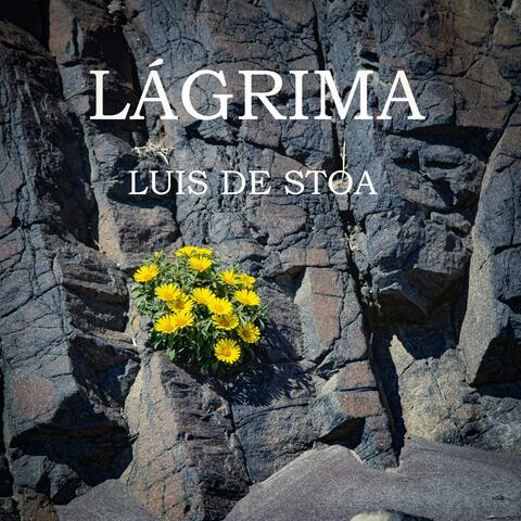 LÁGRIMA