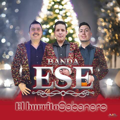 EL BURRITO SABANERO