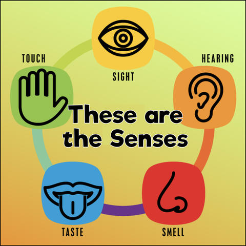 These are the Senses