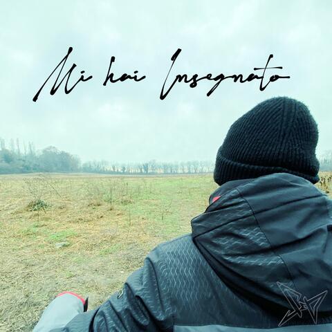 Mi hai Insegnato