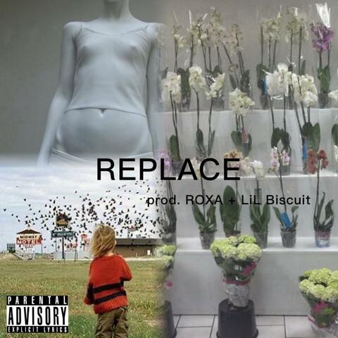 replace