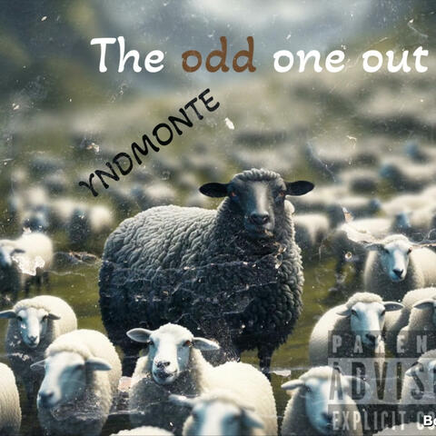The odd one out