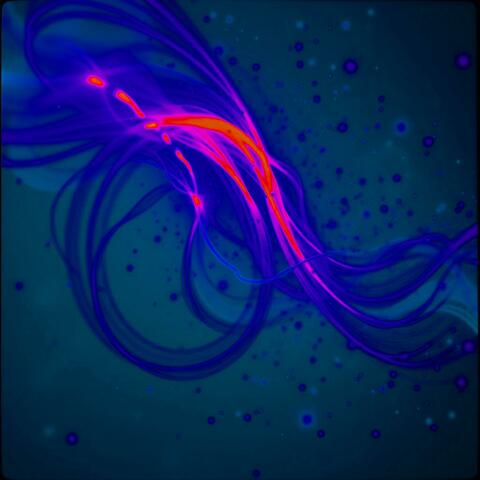 Quantum Echoes