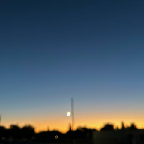 With Stars in Her Belly