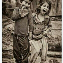 MAYIN TARLASI