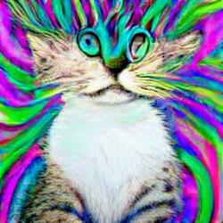 Trippy Kitty
