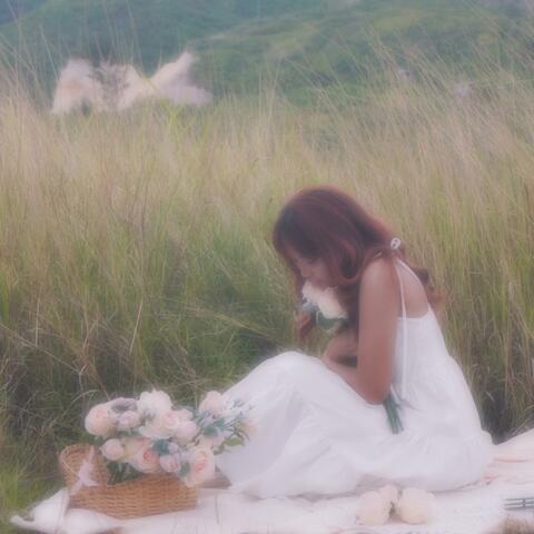 where the flowers dream