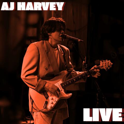 AJ Harvey Live