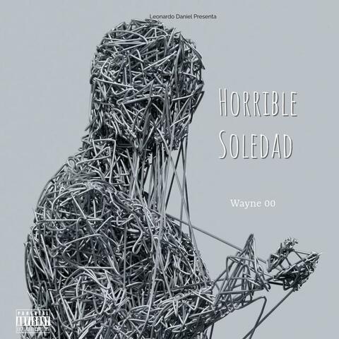Horrible Soledad