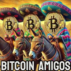 The Ballad of Satoshi