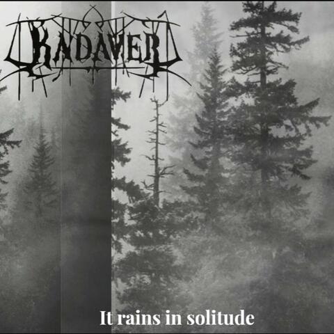 It rains in solitude