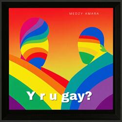 Y r u gay?