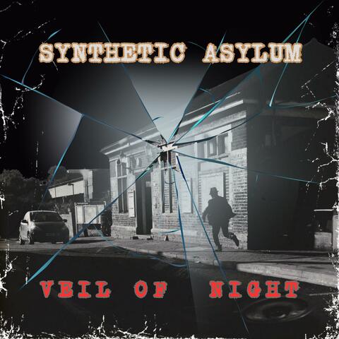 Veil Of Night (Radio Edit)