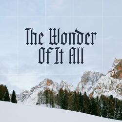 The Wonder Of It All