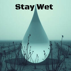 Stay Wet