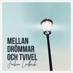 Mellan drömmar och tvivel