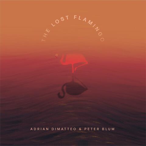 The Lost Flamingo
