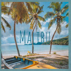 Malibu (feat. ManLikeVeer)