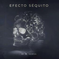 Efecto Séquito