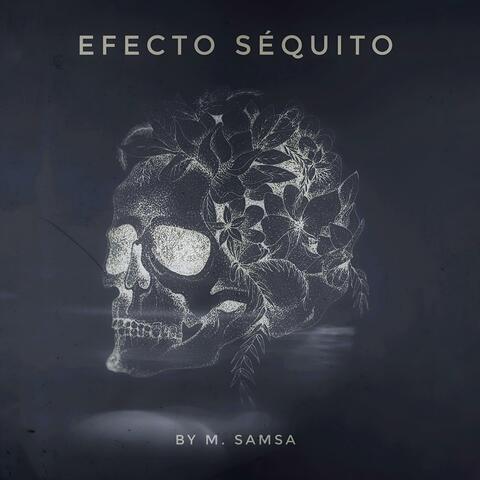 Efecto Séquito