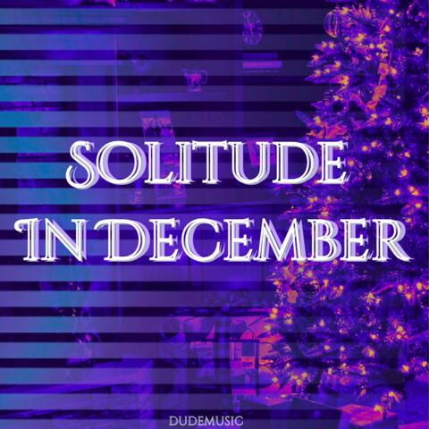 Solitude In December