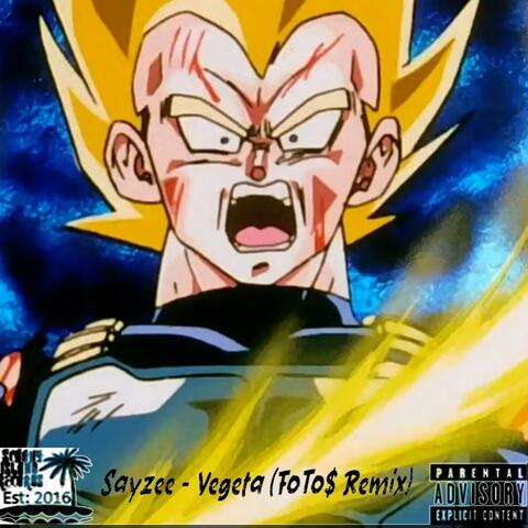 Vegeta (feat. Sayzee) [Dubstep Remix]