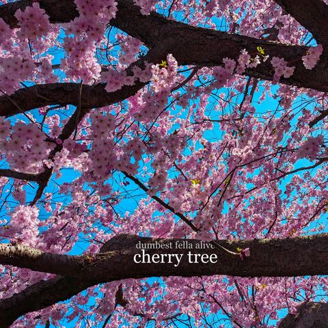 cherry tree
