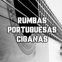 Musica Cigana RUMBA PORTUGUESA CIGANA 2k25