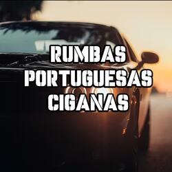 MUSICA CIGANA 2k25 JOÃO CIGANO musica cigana