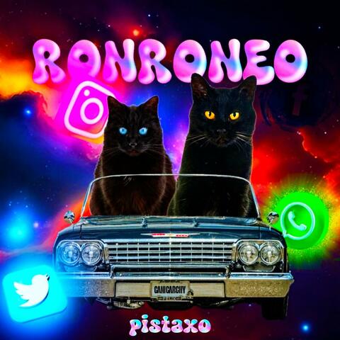 RONRONEO (oiia)