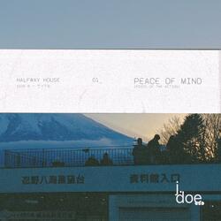 peace of mind (piece of the action)