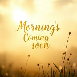 Morning's Coming Soon